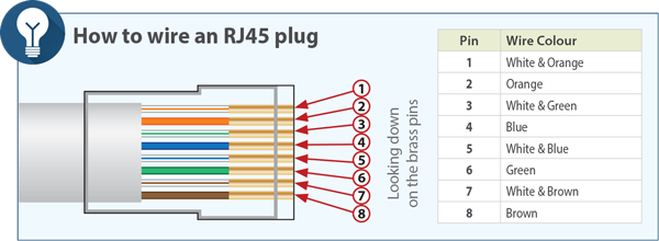 How to Wire a RapidFit Plug